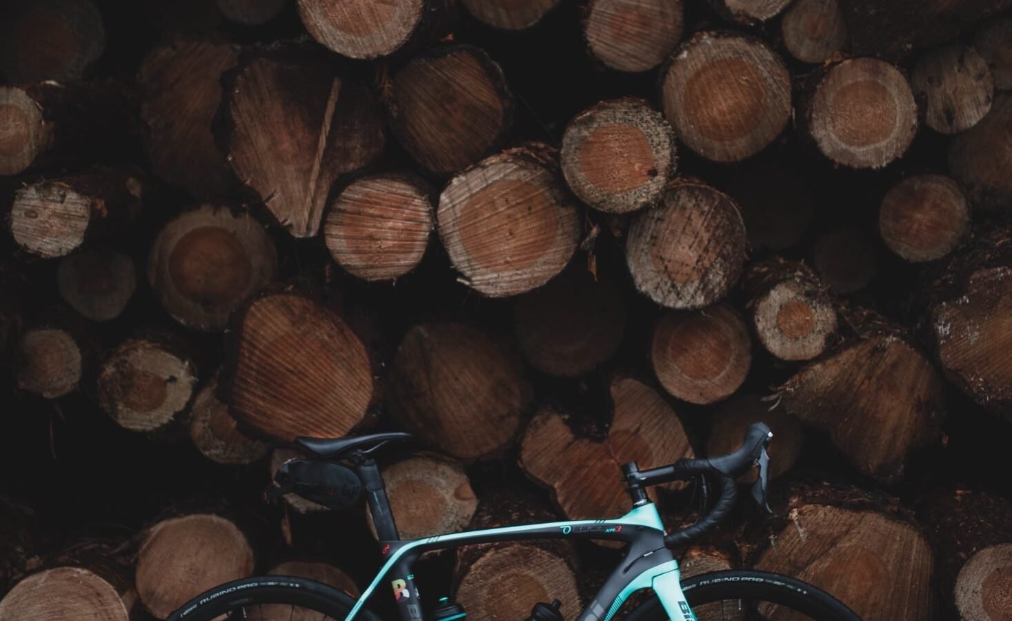 Apidura Expedition Saddle Pack 17L