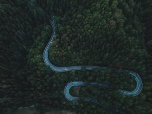 The Forest Hairpins