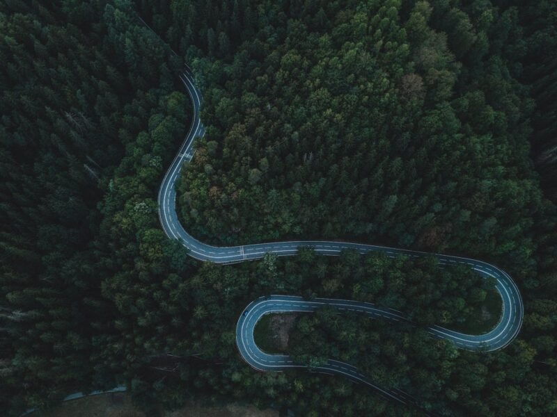 The Forest Hairpins