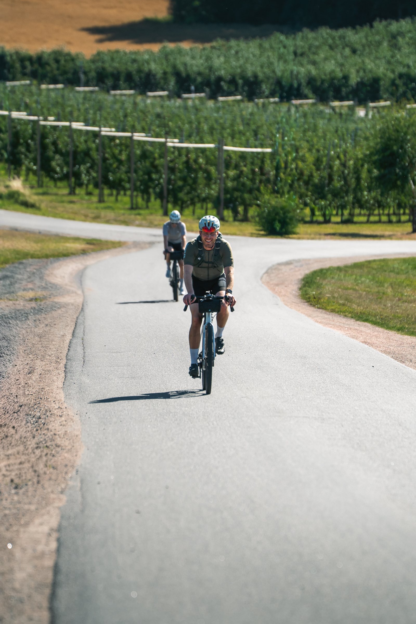 Two cyclists riding past apple orchards in Smålands Toscana