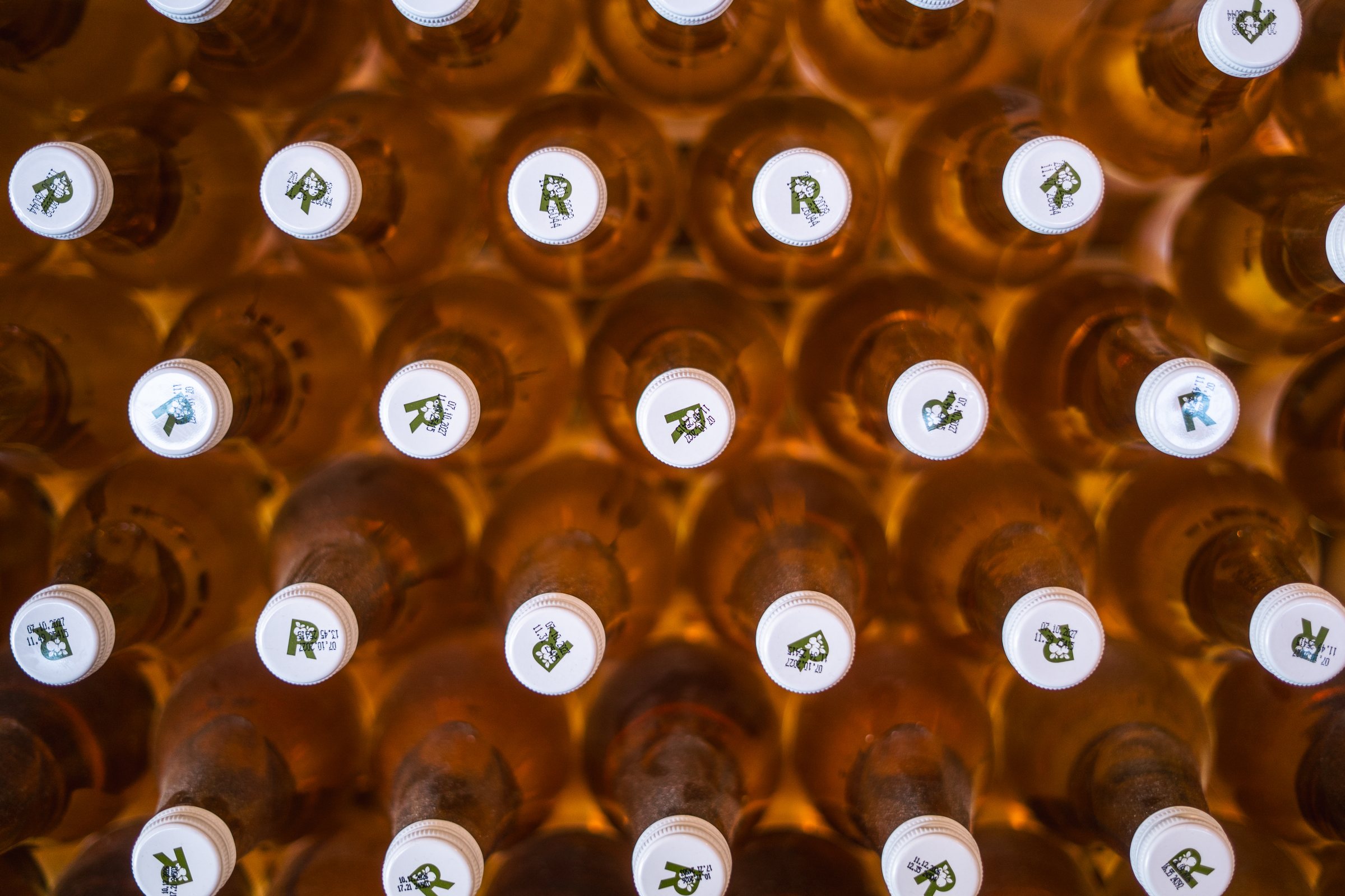 Rows of cider bottles with R-branded caps at Rudenstams