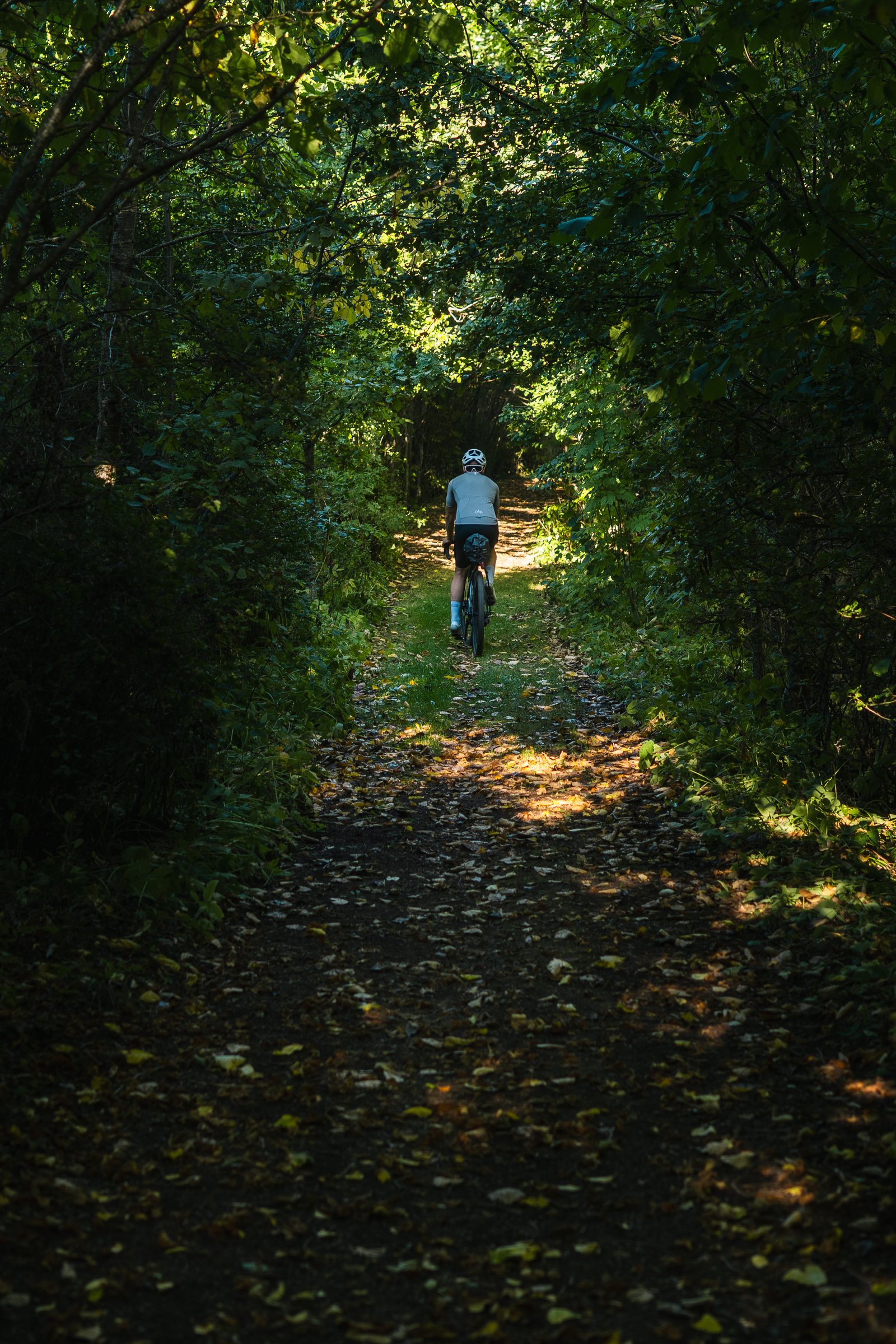 Cyclist on a narrow path through dense green forest on Omberg