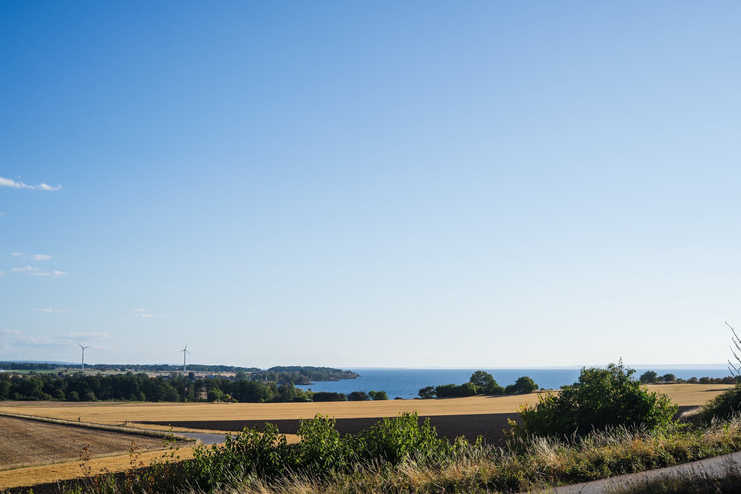 Wheat fields running down to Lake Vättern under a clear sky