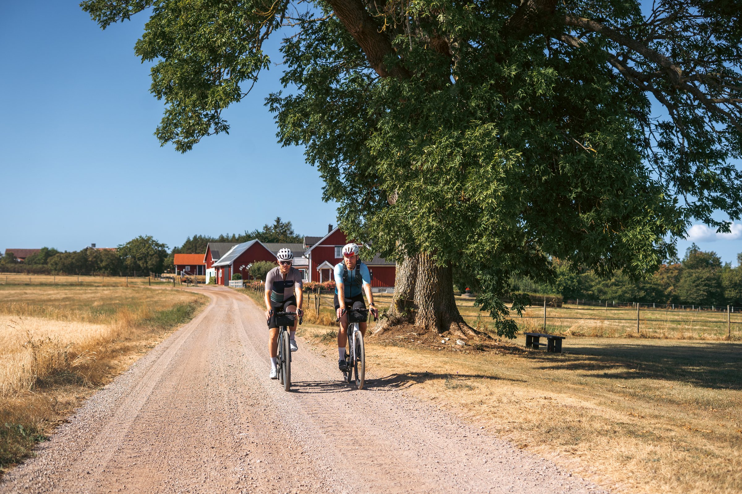 Two cyclists on a gravel road past red farm buildings and a large tree