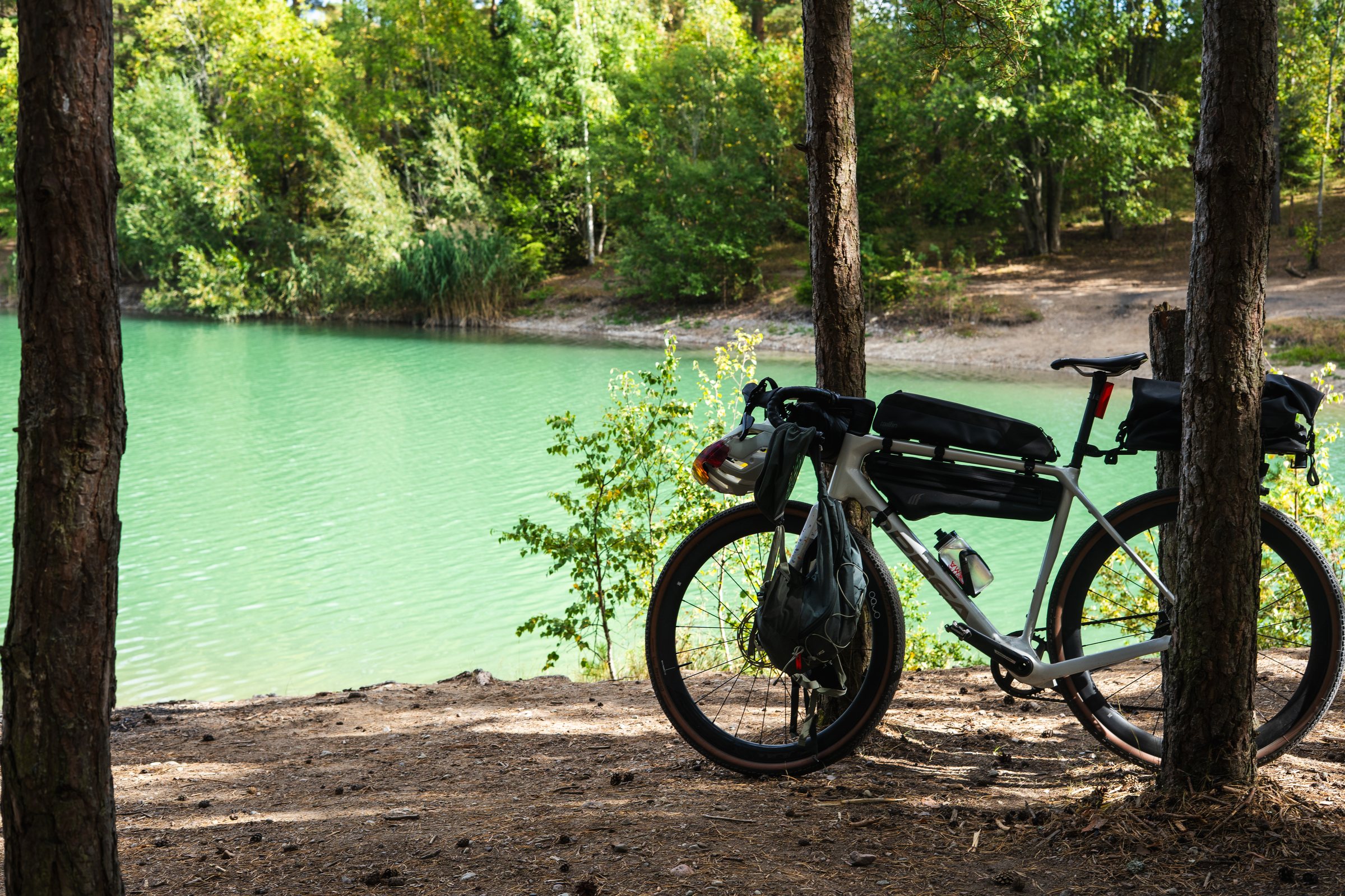 Gravel bike leaning between pine trees beside a turquoise lagoon