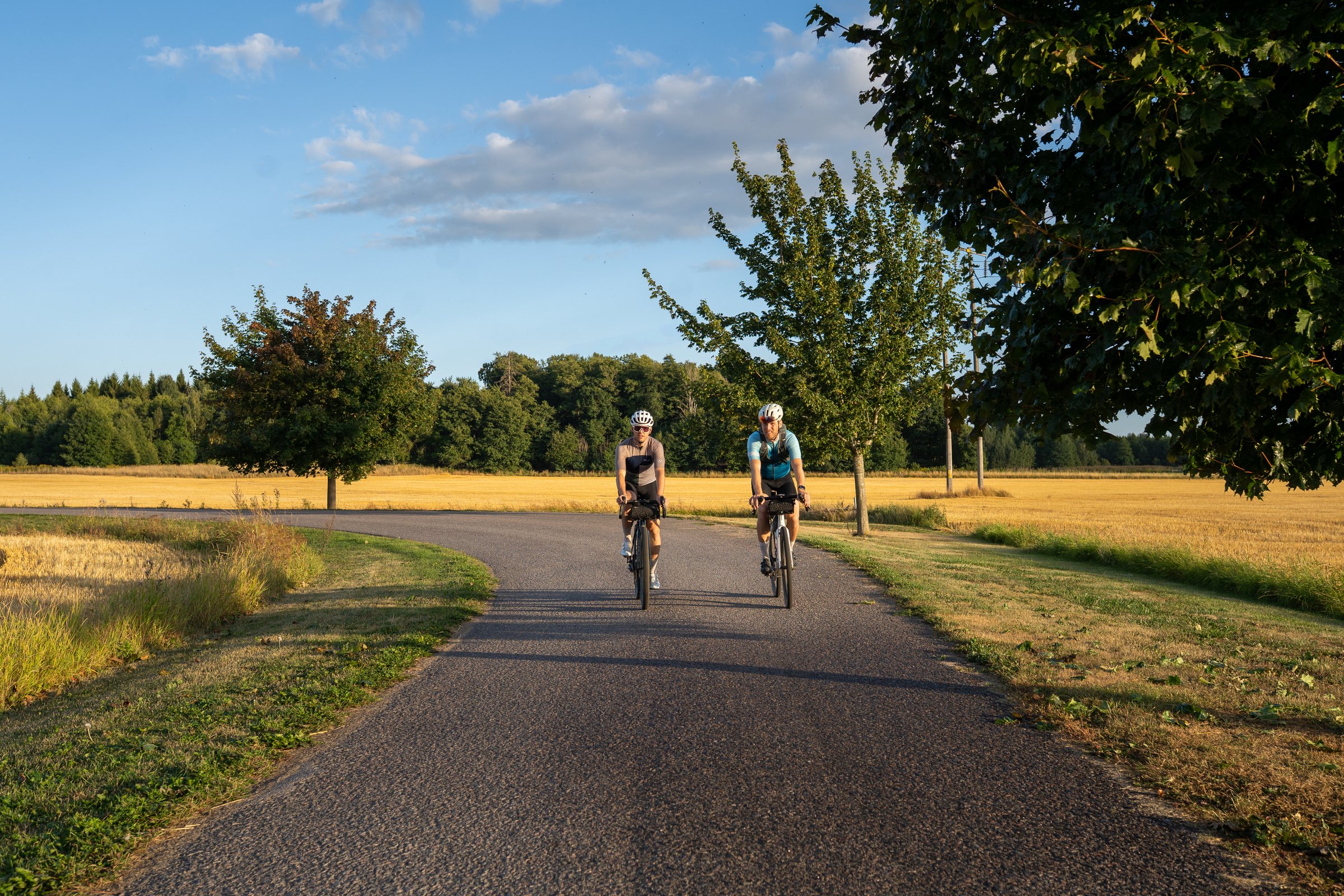Two cyclists on a curving path through golden fields in evening light