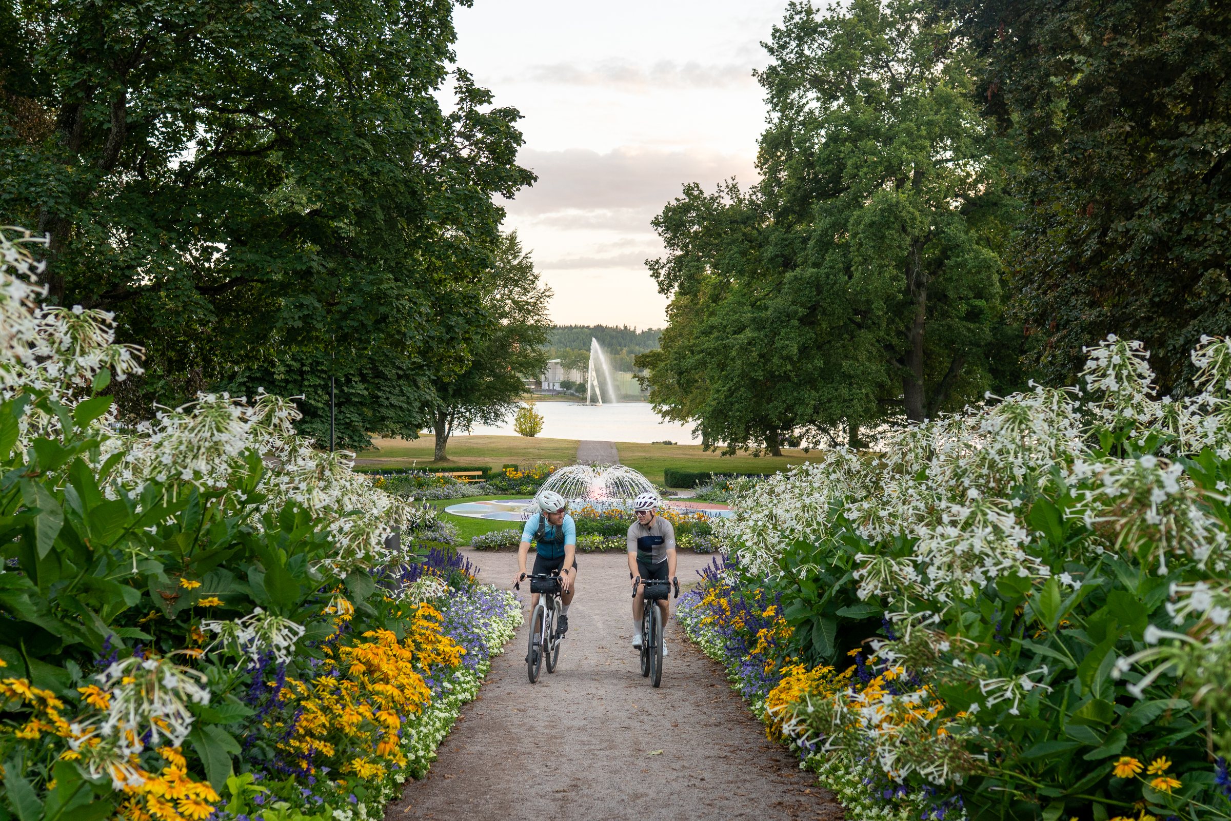 Two cyclists riding between flower beds in Stadsparken, Motala