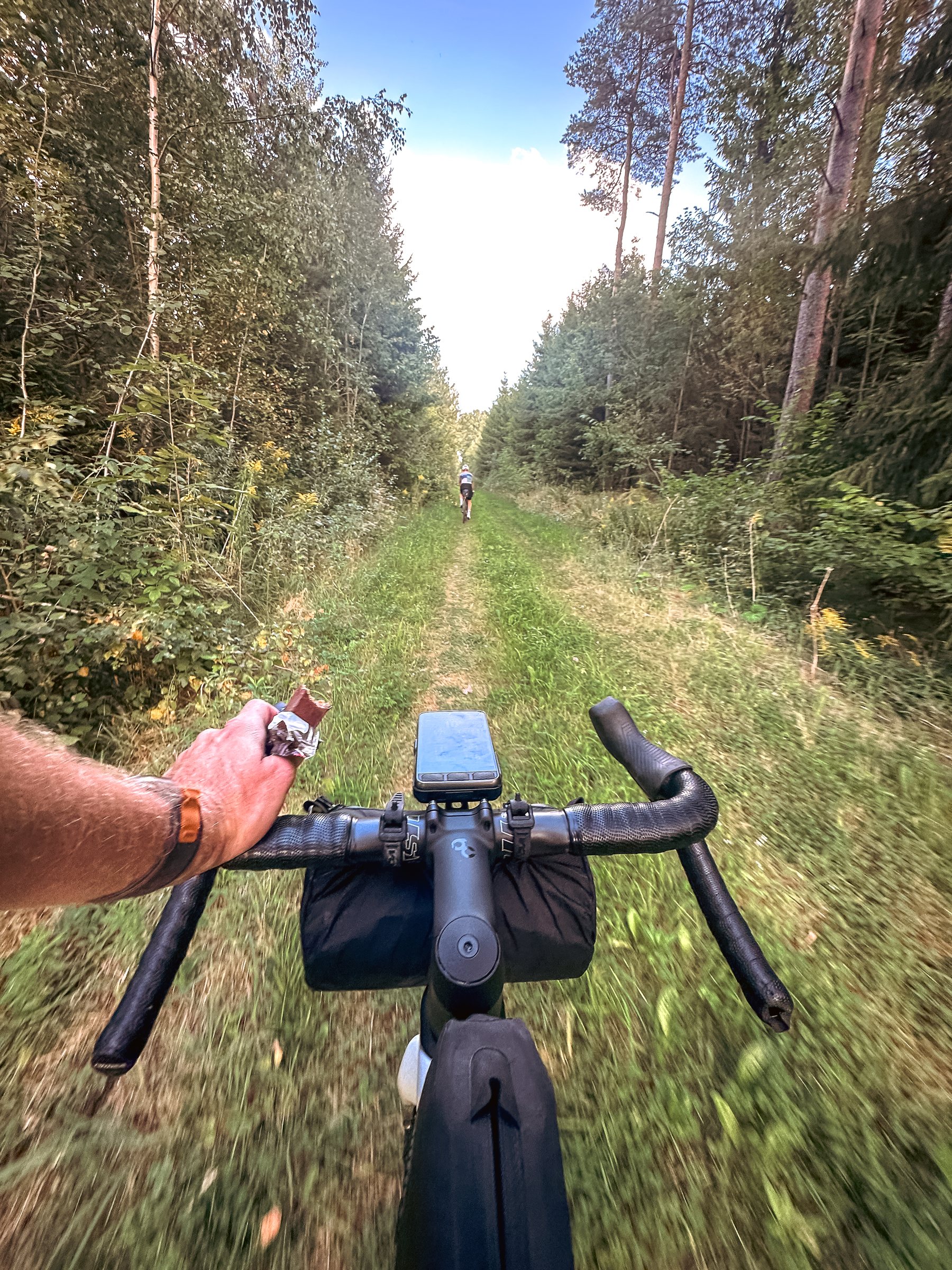 Grassy forest track seen over the handlebars